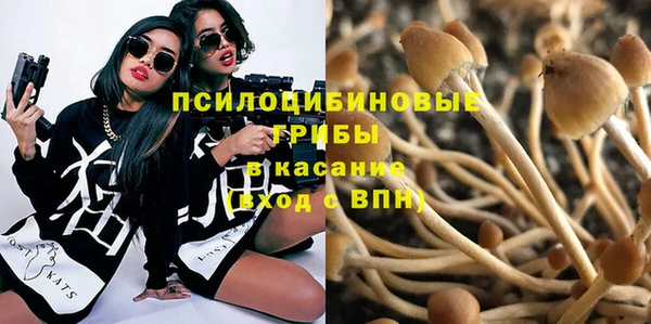 прущие грибы Алексин